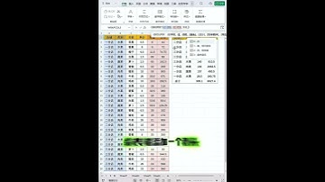 groupby函数自动统计 #excel零基础教学 #办公技巧 #职场加分技能