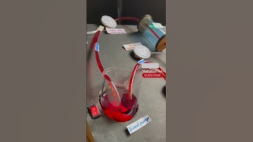 Hemodialysis working model _ biology project #science #shorts