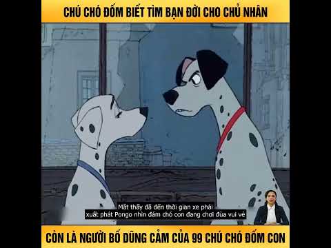 Video: Chèo với chó 101