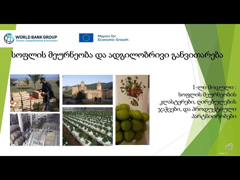 საქართველო - სოფლის მეურნეობა და ადგილობრივი განვითარება