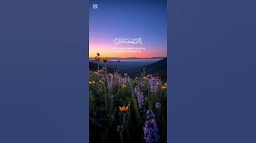 تلاوة خاشعة | #قرآن #راحة_نفسية #تلاوة_خاشعة #تلاوة_هادئة #تلاوات #قران_كريم #quran #رقية_شرعية #آية