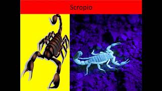 #वृश्चिक राशि---------SCORPIO------------------------PERSONALITY---------ANCIENT ASTROLOGICAL TEXT