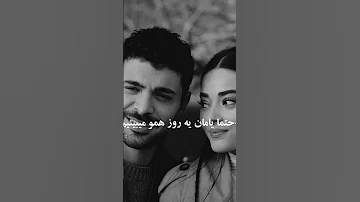 اولین زوج یابانی که دیگه نیستن وحشی رویا 