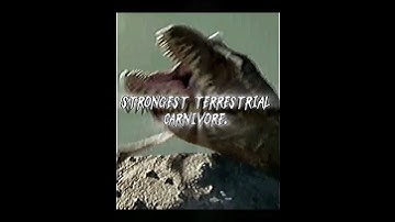 tyrannosaurus rex vs 100 silverback gorillas#dinosaur#edit#prehistoric#animals
