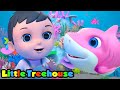 Tubarão bebê | Musica infantil portuguesa | Educação | Little Treehouse | Desenhos animado