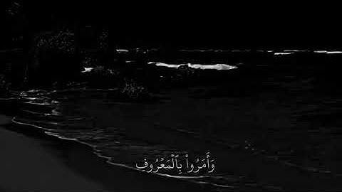 القرآن الكريم  سورة الحج-41