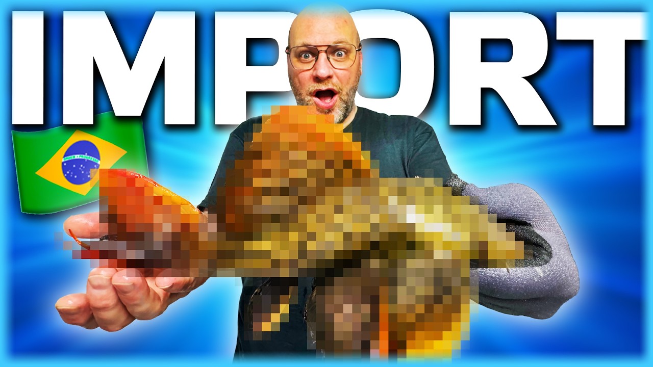 Import & Live-Unboxing: Exotische Kaktuswelse L24, L25 & L273 aus Brasilien.