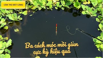 3 Cách móc mồi Giun câu cá cực kỳ hiệu quả l CẦN THỦ ĐẤT CẢNG