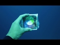 水深による水中のホワイトバランスの変化|underwater white balance from 10m to 0m