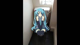 Hatsune Miku Destorys The Stadiums Toilet After A Concert