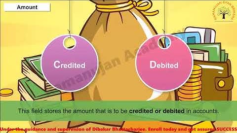 Class 11 | Accountancy Chapter 15 | Accounting System Using Database Management System