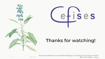 CEFISES Seminar: Blandine de Becker, “Epistemology of models and Supervaluationism”