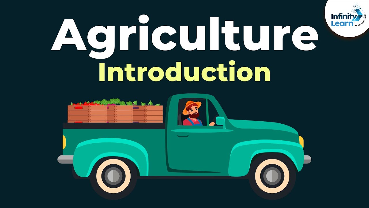 What Is Agriculture For Kids?