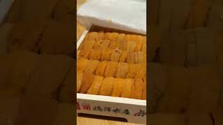 Thumbnail for Japanese "Standing" Sushi