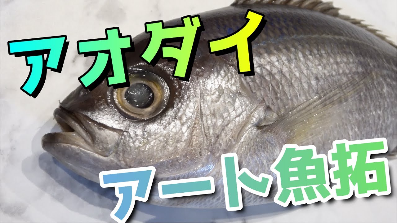 Search Youtube Channels Noxinfluencer