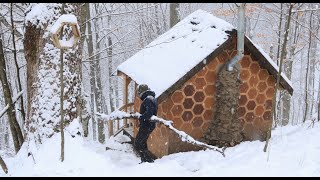Return to the bee house in the mountains. Life in the forest