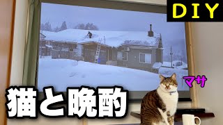 [DIY] Home theater with cats | Install a 100inch screen without damaging the wall