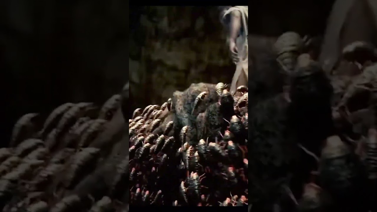 ¡Enjambres densos de insectos pululaban hacia los dos!  😱 