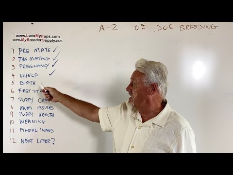 Dog breeding A—Z part 5 of 12 part series The Birth - YouTube