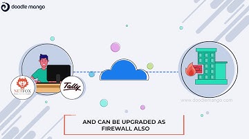 2D Explainer Video | Netfox | Doodle Mango