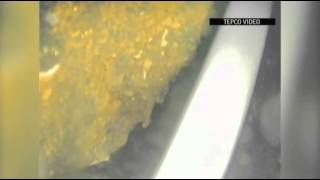 High Radiation, Little Water in Japan Reactor