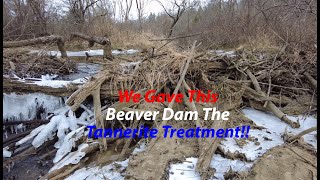 Removing Another Beaver Dam!