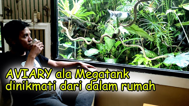 MURAH TAPI MEWAHH, BISA DINIKMATI DARI DALAM RUMAH, INSPIRASI AVIARY KEREN MILIK OM JHON SIDOARJO