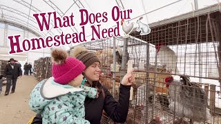 Homestead Livestock Shopping / Mt. Hope Auction🐓//VLOG