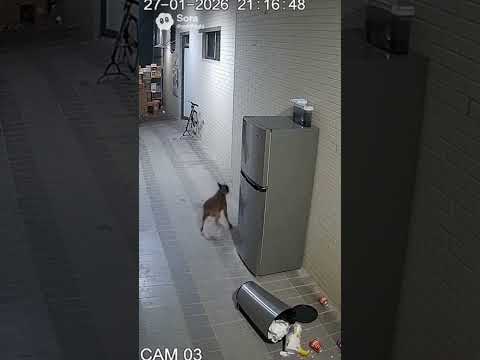 Viral Funny Memes Keşfet Komik Trending Trending Mukbang Comedy Komedi Korean Ilginç Gündem 