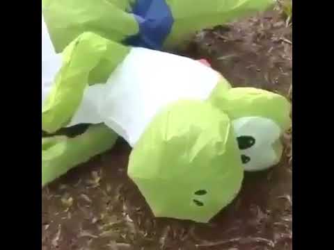 download mario hitting yoshi download mario hitting yoshi