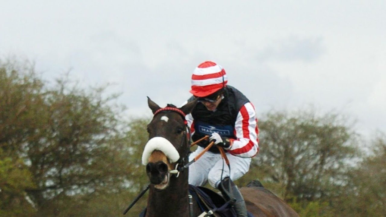 2004 Grand National: Amberleigh House