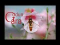 GUDUN GARA 22 GUDUN GARA 22