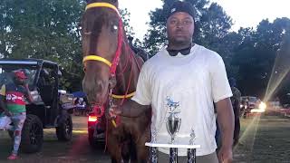 One of the biggest horses ride in Mississippi and the baddest pacer you wanna see |Rontario Thompson