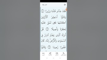 سورة الفرقان بالتجويد المبسط والتلاوة الصحيحة الصفحة (٣٦٠)