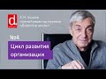 Цикл развития организации. Для директора школы и руководителей компаний