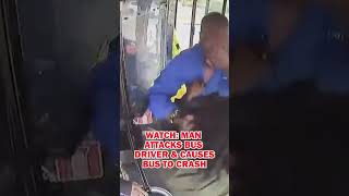 Why Would You Ever Attack The Bus Driver?!?!