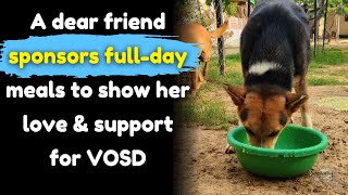 A dear friend sponsors fullday meals to show her love & support for VOSD