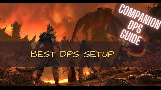 Best Companion DPS Build [Mirri Bow Build]