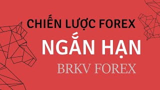 CHIẾN LƯỢC GIAO DỊCH FOREX NGẮN HẠN HIỆU QUẢ - BRKV FOREX