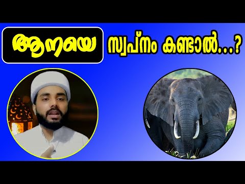 ആനയെ സ്വപ്നം കണ്ടാൽ...? സ്വപ്ന വ്യാഖ്യാനം