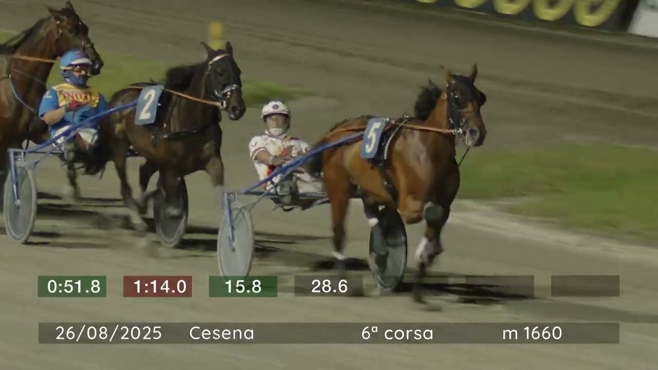 2025 08 26 | Corsa 6 | Metri 1660 | Premio Rotary Club Forli' Tre Valli - Tga 2025