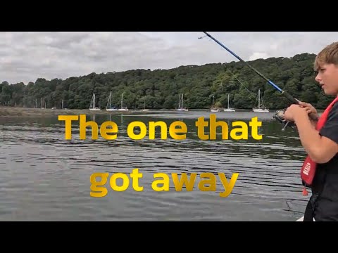 Archie's second Bass,