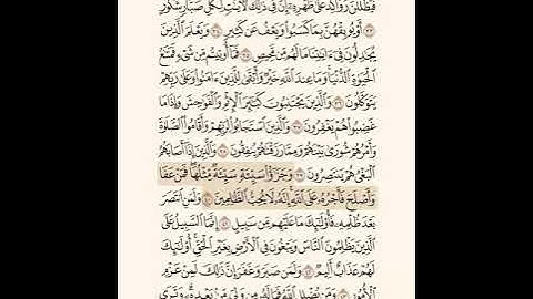 تلاوة سورة الشورى من 40 إلى 46