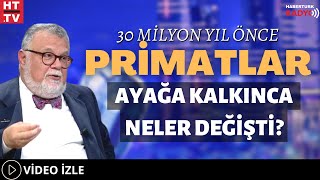 30 Milyon Yıl Önce Primatlar Ayağa Kalkınca Neler Değişti?