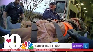 New video shows aftermath of tiger attack that nearly ripped off 18-year-old's arm