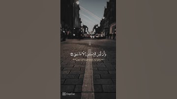 ارح قلبك ❤️ #قران_كريم #اكسبلور #viral #المصحف #تلاوة_خاشعة #الرحمن #قرآن