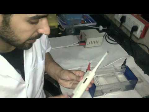 محاضرة ثالثة عملي درس(Gel Electrophoresis) احمد العطافي