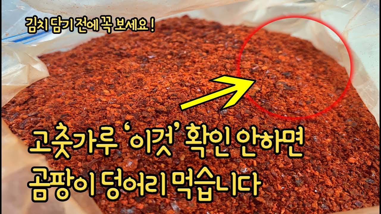 김장 김치 담글때 이것 꼭 확인하세요! 간암 걸릴 확률이 높아집니다 - YouTube