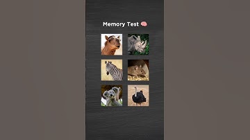 Only 1% can pass this Animal memory challenge! #shorts