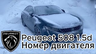 Номер двигателя Peugeot 508 (+ расположение масляного фильтра)